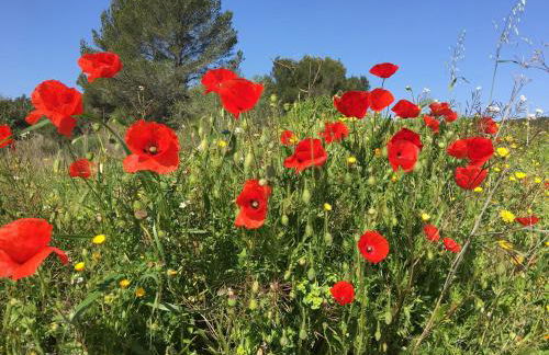 Tranquil Villa with Pool - Foto 24