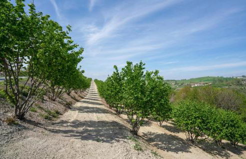Nice Home In Marsaglia Cn With Jacuzzi - Foto 10