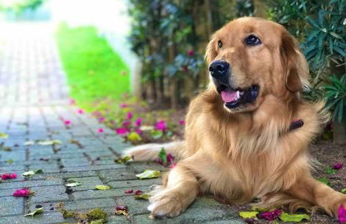 Paraíso Exclusivo- Piscina, Lareira e Natureza - Photo 21