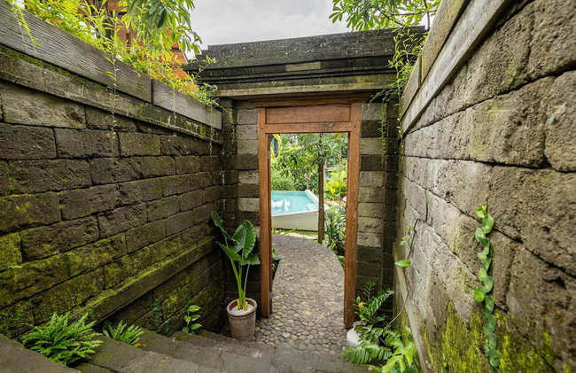 Casa Pohon Ubud - Foto 2