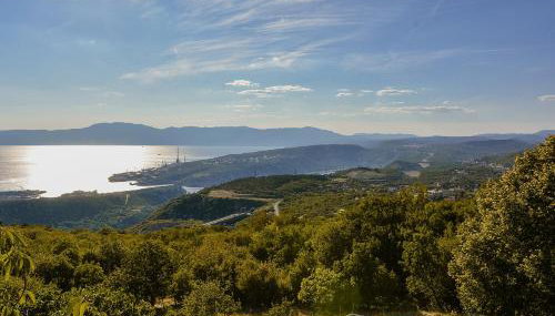 FoREST Heritage Apartment - Foto 1, Garden view