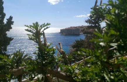 Apartments Dubrovnik Center - Photo 24