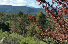 Gîte L'Appart de Case Vanille - Foto 26