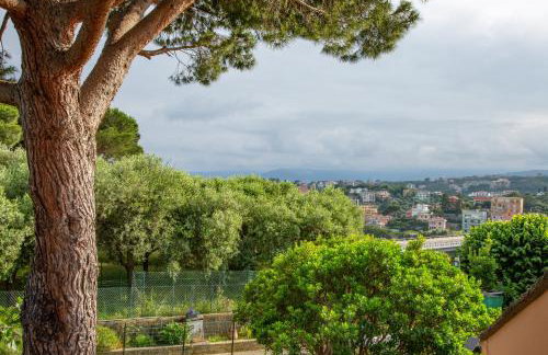 Sea Point - Photo 29