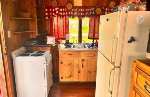 Cozy Cabin with Lovely Views of Great Sacandaga Lake in Northville, New York - Foto 28