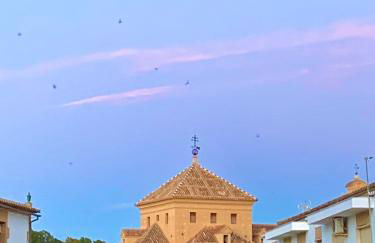 Verde Oliva Albero Limon - Photo 46