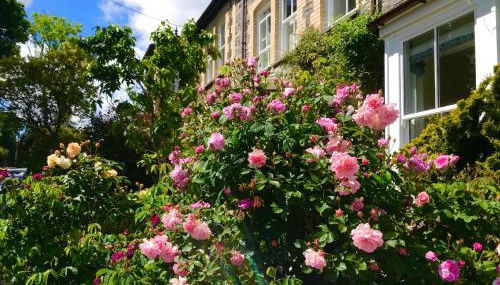 Brookdale House - Foto 4, Garden