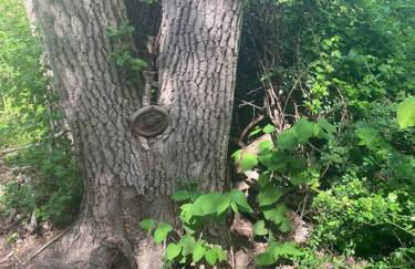 Murphys Law Inn 4 - Foto 13