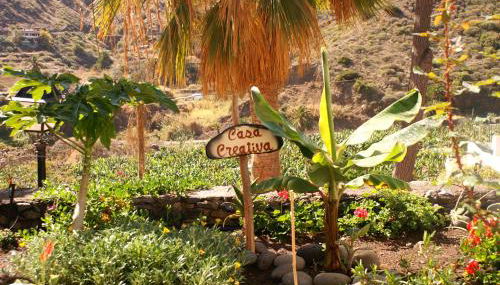 Casa Creativa - Foto 2, Garden