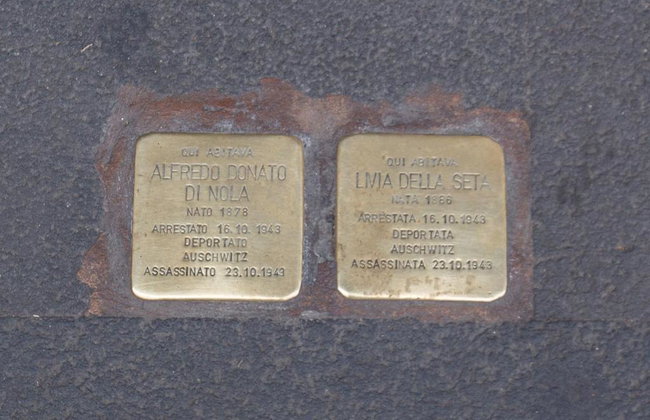 Feronia Guest House - Foto 7