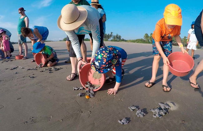 Ixtapa Zihuatanejo Sea Turtle Release - Photo 2