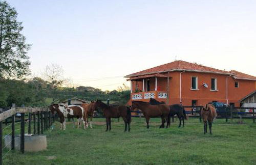 Sítio colonial no Sul de Minas Gerais - Foto 19