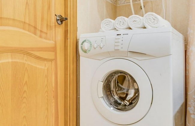 Ludwig Apartments Bolshaya Puskarskaya - Foto 12