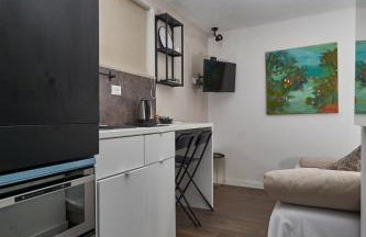 Aspidistra Shadow - Foto 9