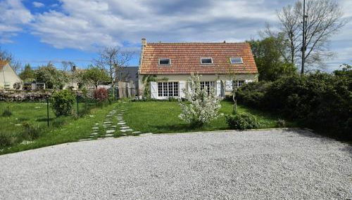 La petite chouette - Photo 2