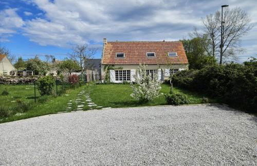 La petite chouette - Photo 2