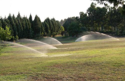 Terry Land Village - Foto 78