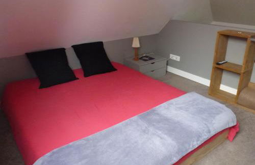 spéculoos et chicorée - Foto 35