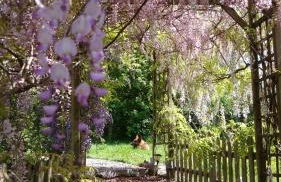 El Pedrueco turismo rural - Foto 78