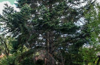 Quinta Das Rossadas - Photo 27