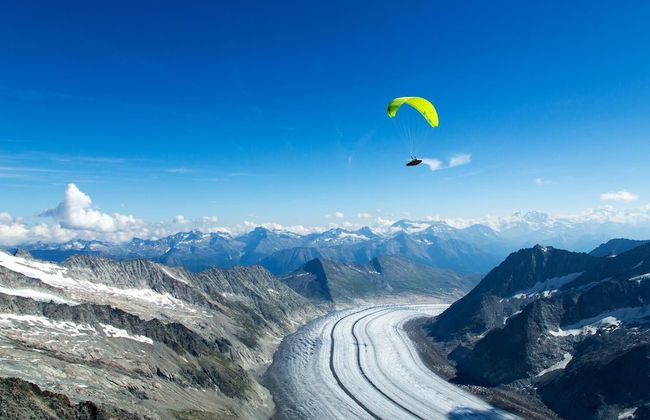 Stachelbeere OG - Foto 16