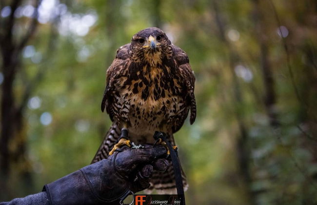 Podere Le Rote Private Farmhouse - Foto 21