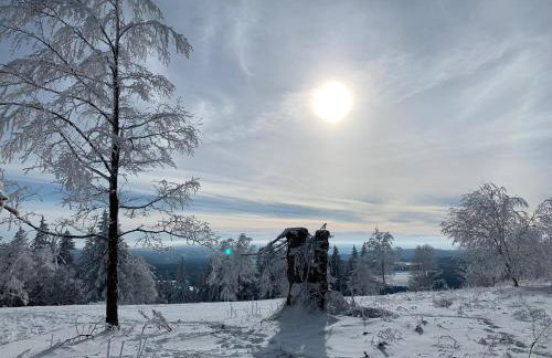 Ferienhaus Auszeit mit Terrasse - Photo 17