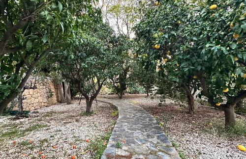 Casa Hendrika - La Nucia Hills - Foto 8