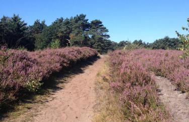 NEU! Modernes Ferienhaus Strandgut - Foto 12