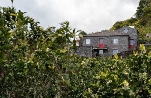 Liiiving in Açores - Casa de Foros - Photo 12