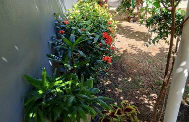 Nosso Recanto Amplo e Próximo a Pontos Turísticos - Foto 24