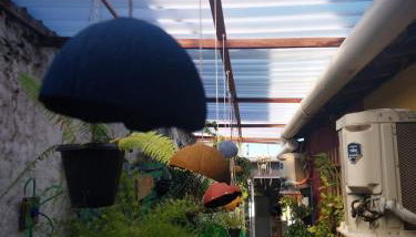 Casadaisyhospedagem - Foto 3