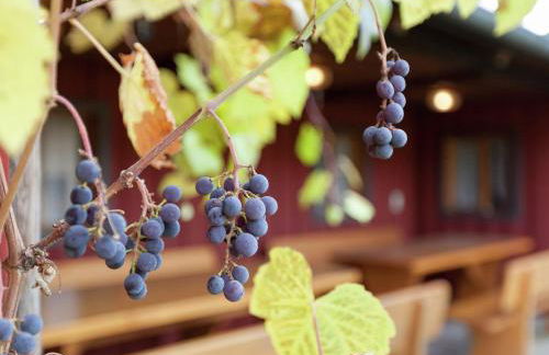 Wohnung in Ruhmannsfelden mit Hallenbad - Foto 30