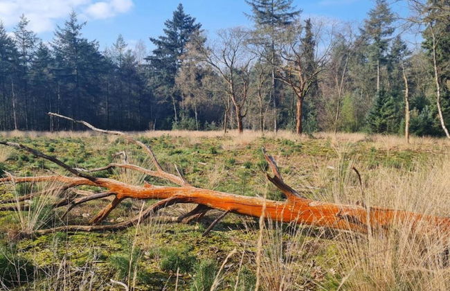 Holiday Home in Elsendorp With Garden - Foto 41