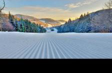 Leszczynka - Foto 27