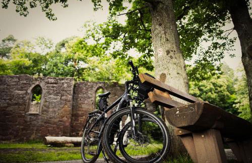 Bürgstadt, Am Bischof mit Sonnenterrasse, 1 bis 4 Betten - Foto 71