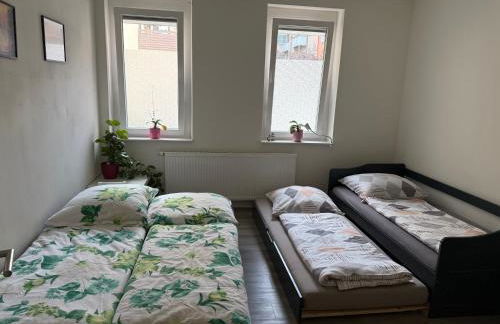 Zentral gelegene Wohnung - Foto 2