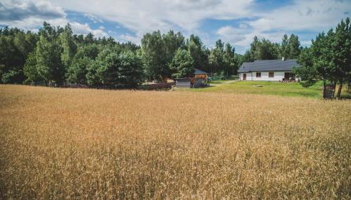 Kiton House - Foto 2, Garden, Garden view