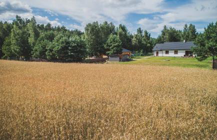 Kiton House - Foto 2