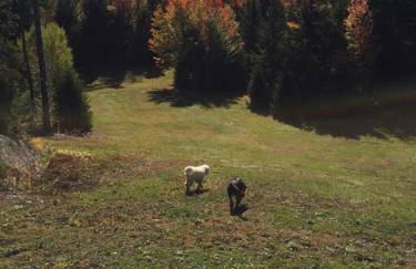 The Guest House at Sky Hollow - Foto 27