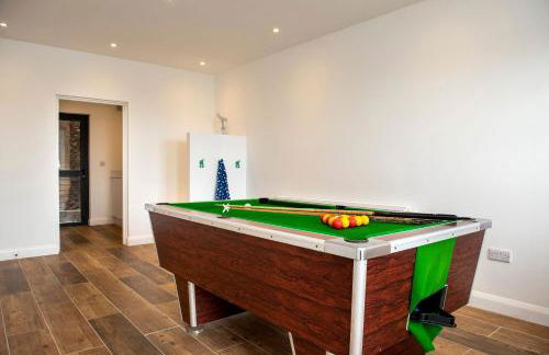 Turnstone - Photo 34