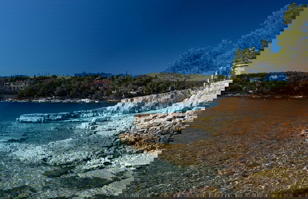 Olive Eden - Foto 25