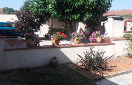 APPARTEMENT T2 PLAIN PIED - Photo 9