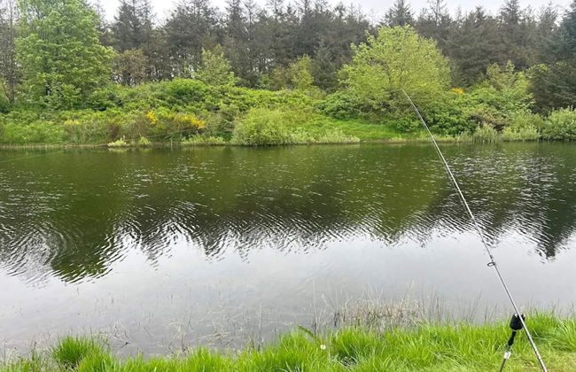 4 Person Holiday Home in Toftlund - Foto 29