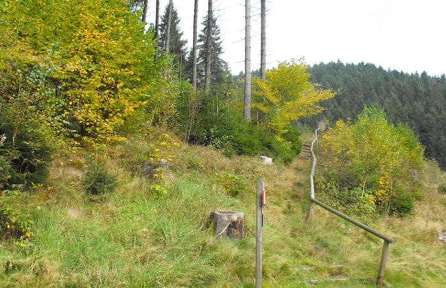 Wohnung in Wildemann Nahe Harzwald - Foto 34
