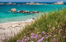 Maison neuve à 350m de la plage La casa Sovaïna - Foto 21