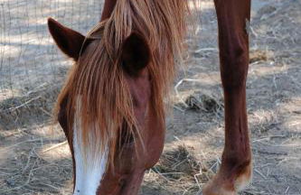 La Casa Colonica wine and oil - Foto 29