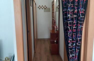 Apartamento Plano Royo 2º - Photo 11