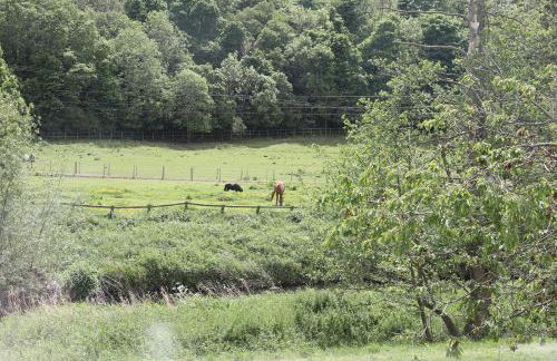 Beautiful cozy 3 bedroom 2 bathroom apartment - Foto 68