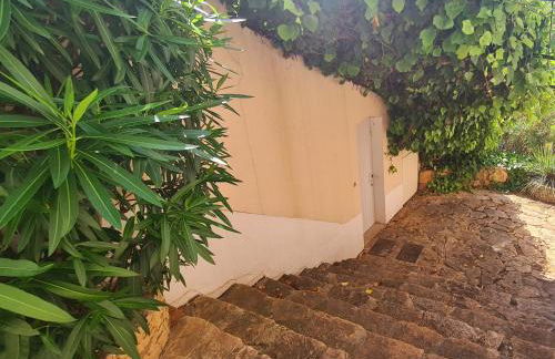 SUPERBE VILLA-DOMAINE AVEC GOLF PISCINE ET TENNIS - Foto 8